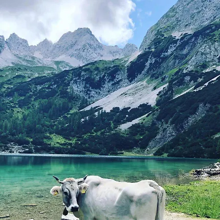 Apart-elisabeth アパートホテル ミエミング