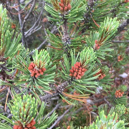 アパートホテル Apart-elisabeth