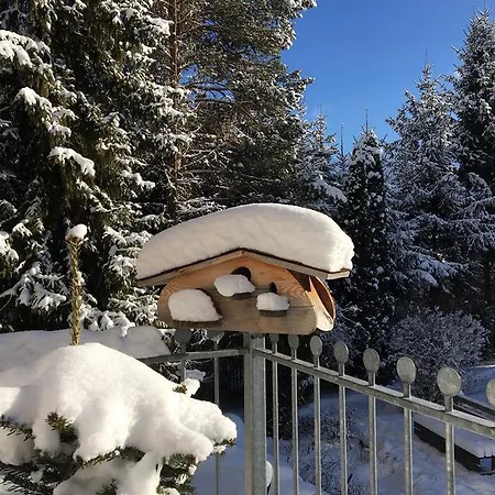 アパートホテル Apart-elisabeth ミエミング