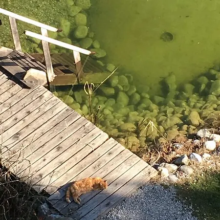 アパートホテル Apart-elisabeth