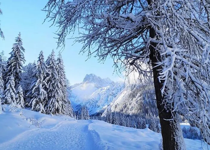 Aparthotel Apart-elisabeth