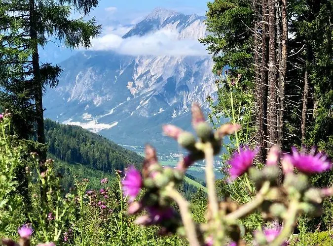 Aparthotel Apart-elisabeth