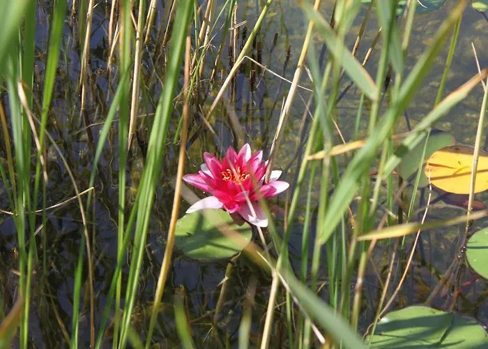 Aparthotel Apart-elisabeth