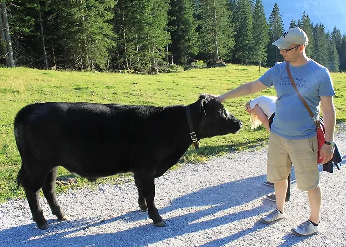 Apart-elisabeth Aparthotel 4*