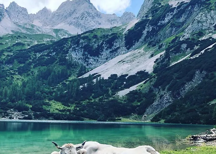 Apart-elisabeth Aparthotel Mieming