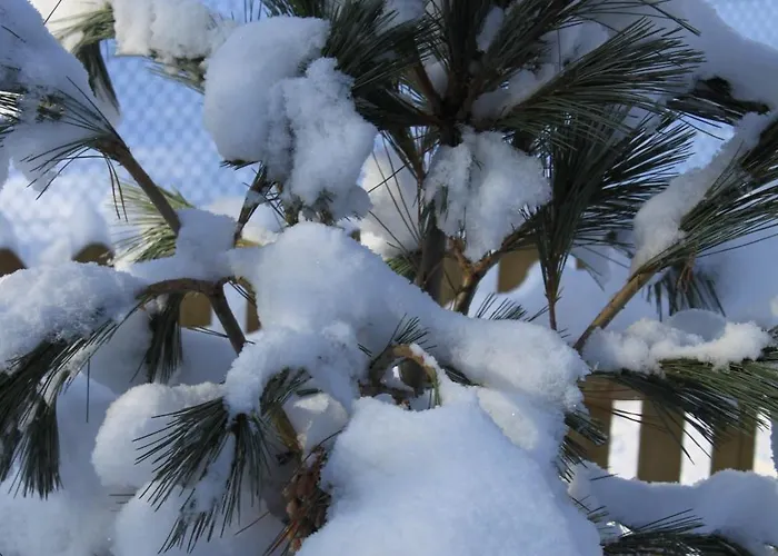 Apart-elisabeth Mieming